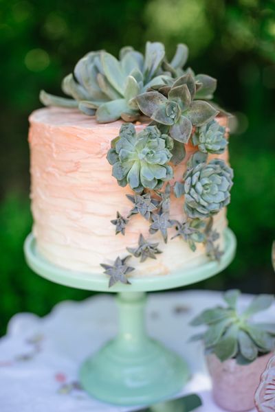 Gorgeous ombre wedding cake with succulents