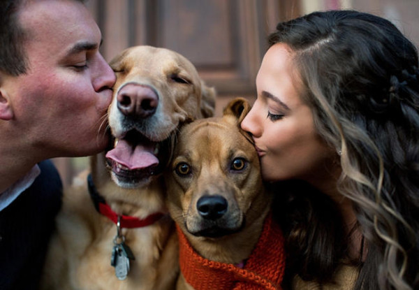 Engagement Photography with Pet Dogs