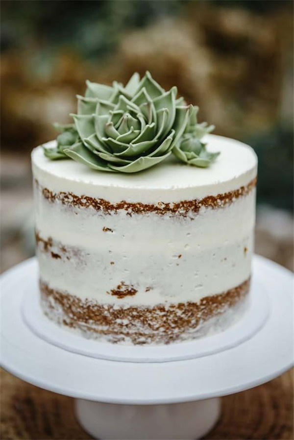 Naked Succulent Wedding Cake