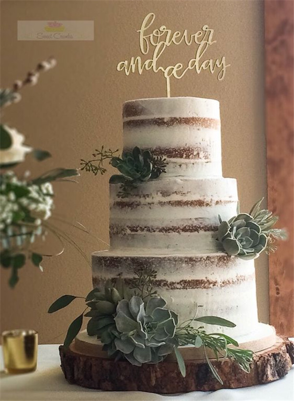 Semi-Naked Cake with Succulents