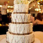 Wedding Cake perfect for a fall wedding
