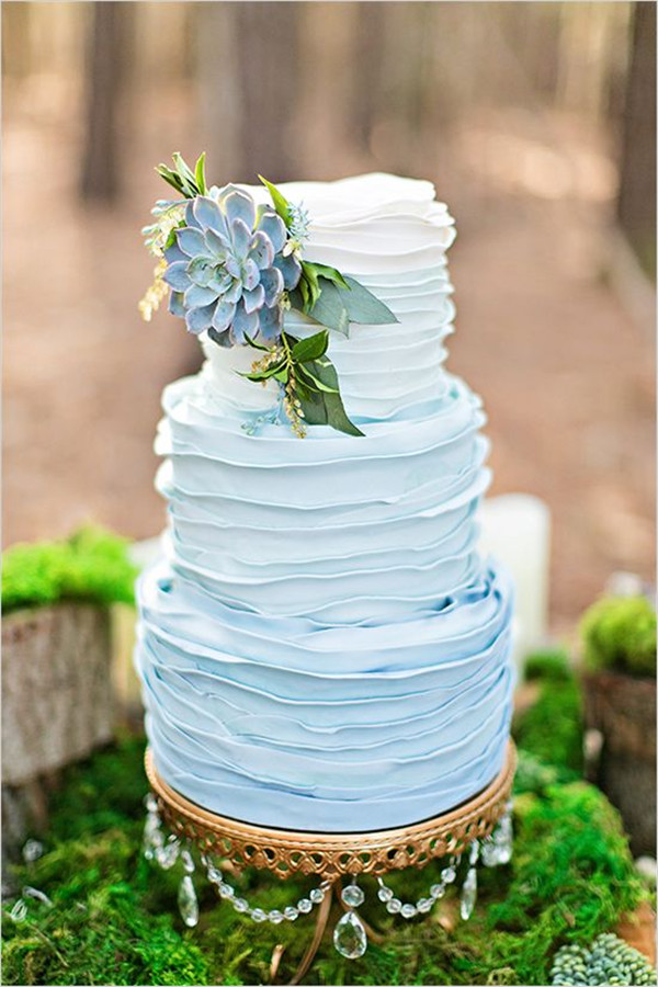 ombre ruffle wedding cake with succulent
