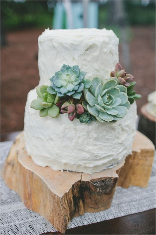 simple white wedding cake with succulent