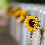 A single stem of sunflower create a beautiful line of pew markers for this outdoor country wedding