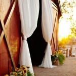 Sunflower would work for my decor, and the barn!