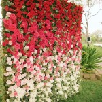Rose ombre wedding backdrop ideas