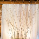 rustic tree branched wedding backdrop