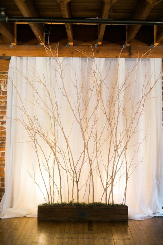 rustic tree branched wedding backdrop