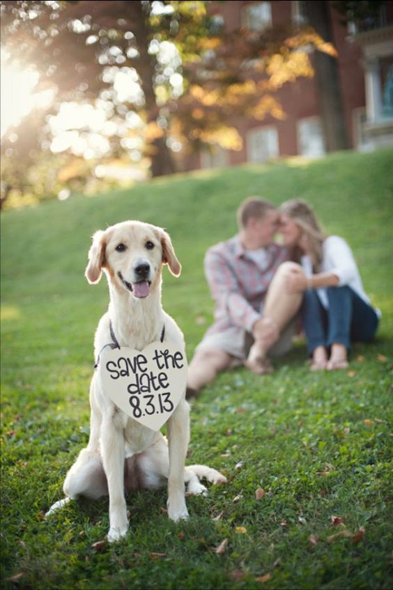 Cute save the date photo ideas with dogs