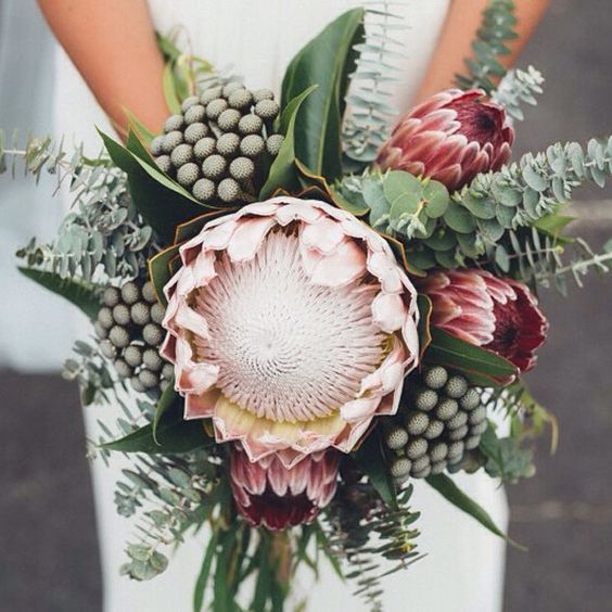 King protea bouquet love the colors, clear and simple