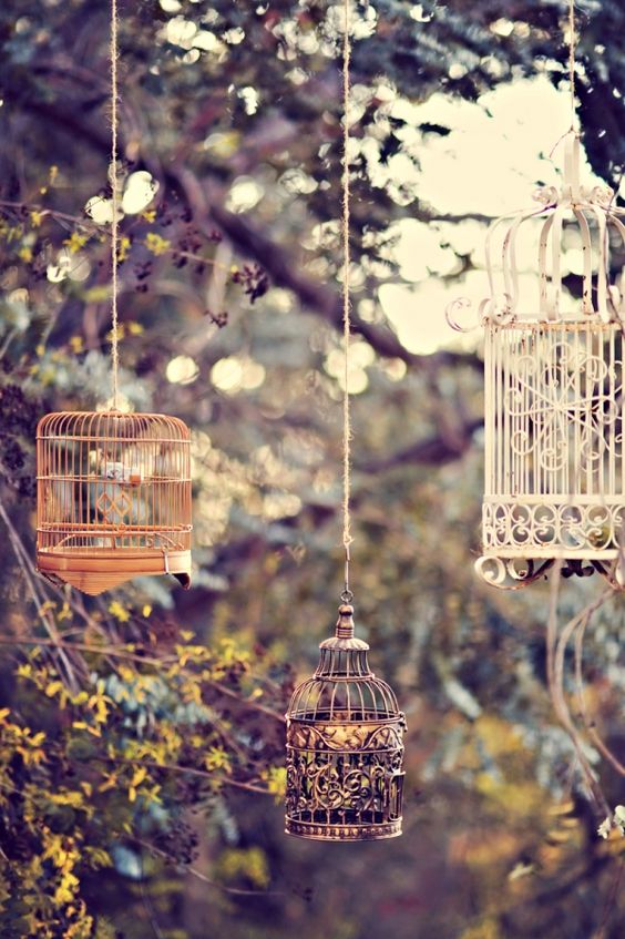 multifunctional metal birdcages for outdoor weddings