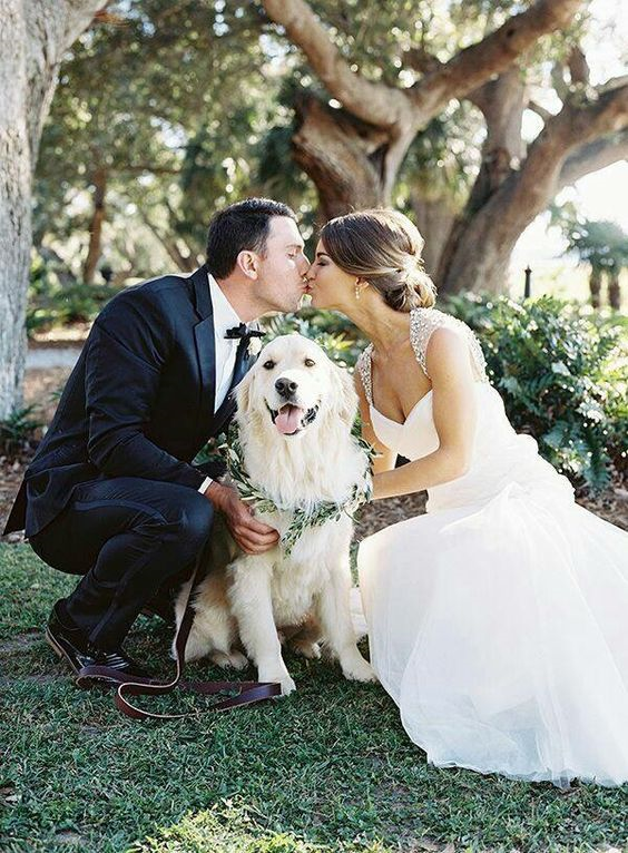 wedding pictures with dogs