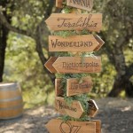 20+ Enchanted forest wedding themes ideas_009