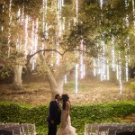 20+ Enchanted forest wedding themes ideas_012