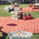Budget Friendly Picnic Wedding Reception Ideas_002
