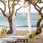 Stunning Tree Wedding Backdrop Ideas_004