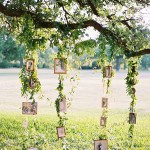 Stunning Tree Wedding Backdrop Ideas_008