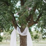Stunning Tree Wedding Backdrop Ideas_011