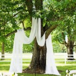 Stunning Tree Wedding Backdrop Ideas_012