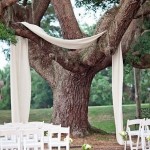 Stunning Tree Wedding Backdrop Ideas_013