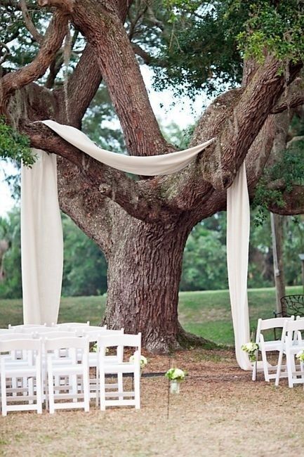 18 Stunning Tree Wedding Backdrop Ideas