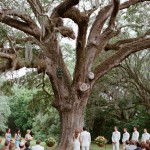 Stunning Tree Wedding Backdrop Ideas_017