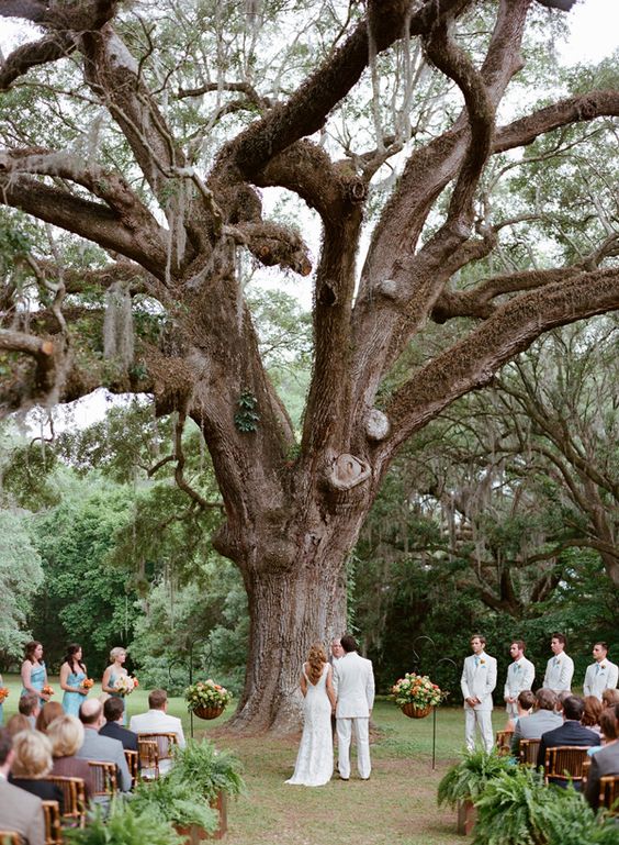 18 Stunning Tree Wedding Backdrop Ideas