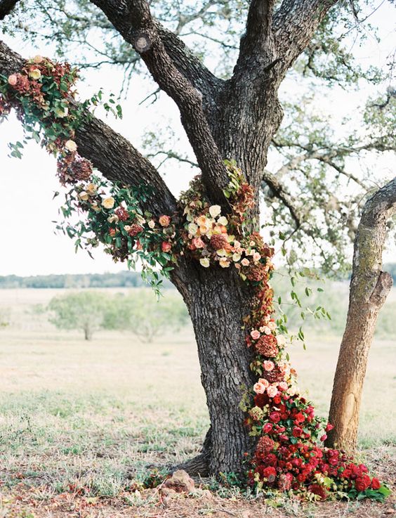 18 Stunning Tree Wedding Backdrop Ideas