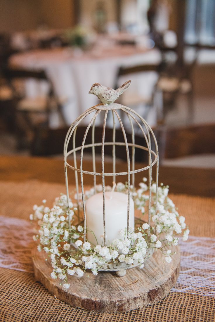  20 Birdcage Wedding Ideas to Make Your Big Day Special 