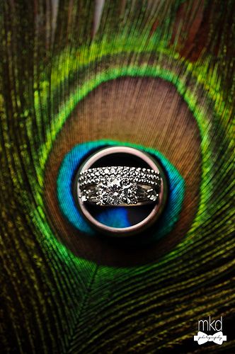 Wedding Rings On A Peacock Feather