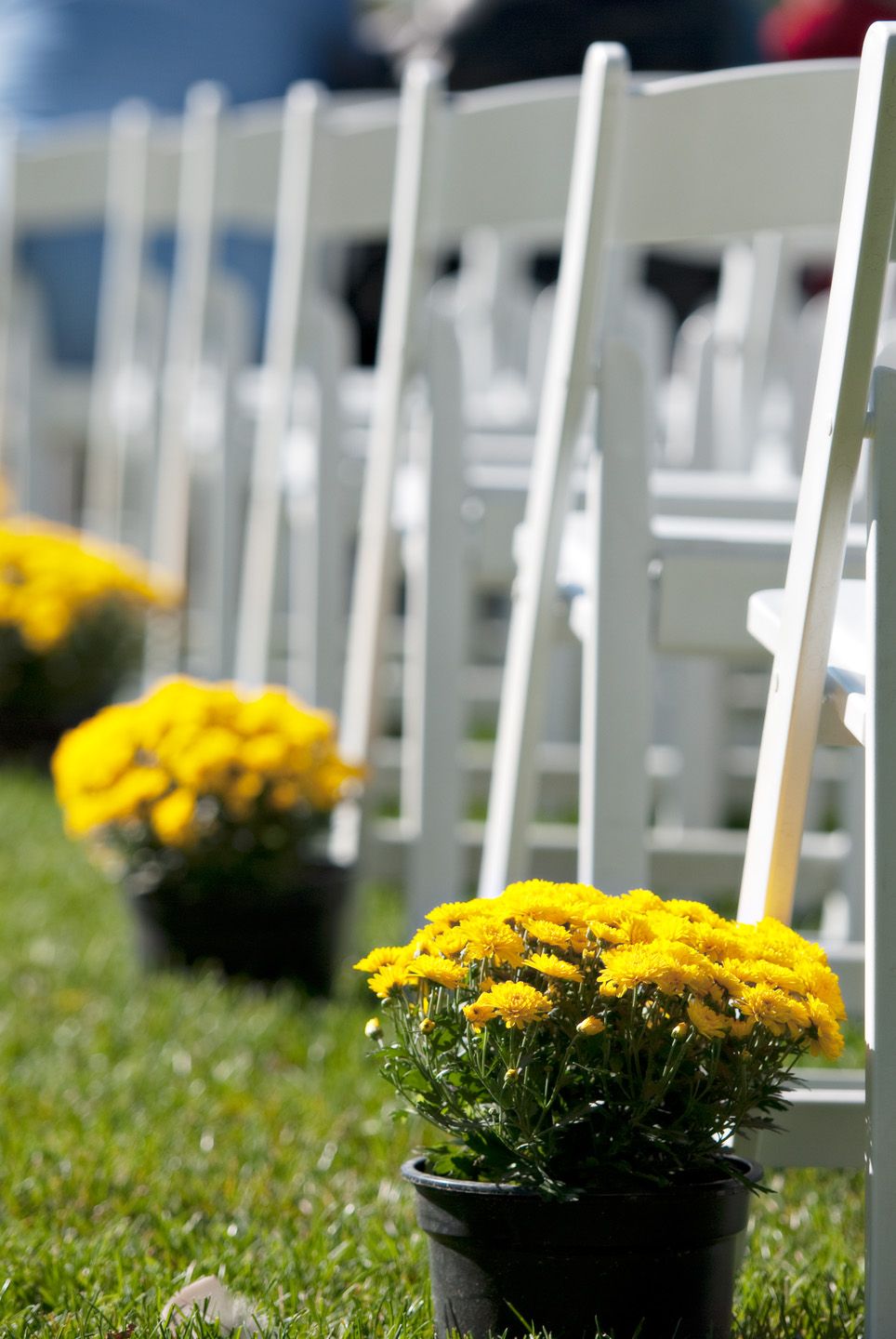 Fall Wedding Aisle Decorations to Blow Your Mind Away!