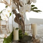Amazing Bold Tropical Wedding Centerpieces 1453034043767755512
