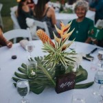 Amazing Bold Tropical Wedding Centerpieces 1693765517579580102