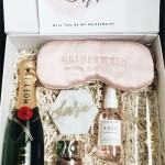 Fun and Creative Bridesmaid Proposal Ideas 1513269688779588768