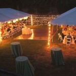 Perfect Backyard Wedding Ideas for Any Season 1177258935320021120