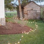 Perfect Backyard Wedding Ideas for Any Season 1392868767497289728