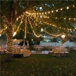 Perfect Backyard Wedding Ideas for Any Season 1518125132129251260