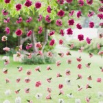 Perfect Backyard Wedding Ideas for Any Season 1612700724283493570