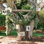 Perfect Backyard Wedding Ideas for Any Season 1733875701761104027