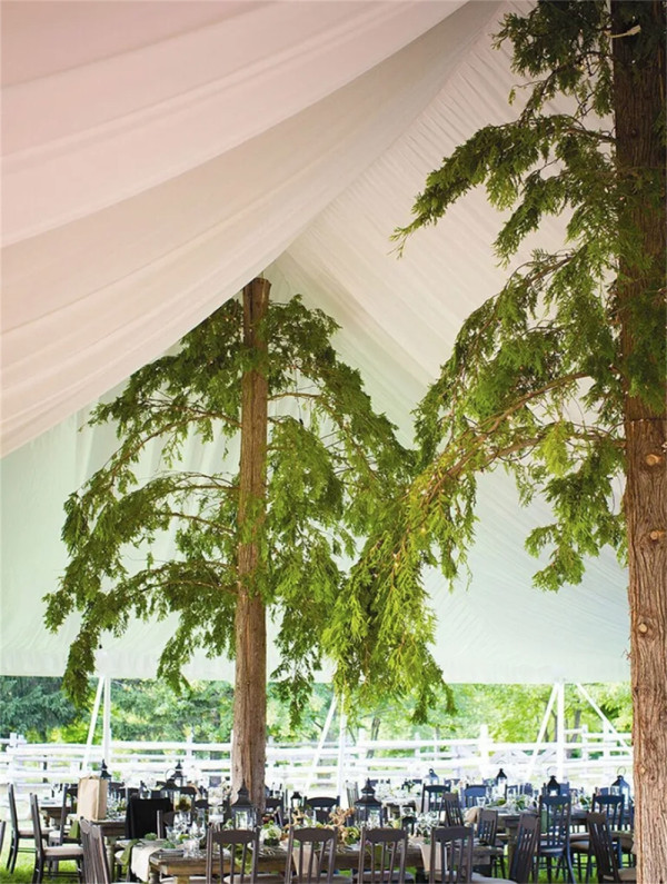 Outdoor Wedding Reception with Natural Elements