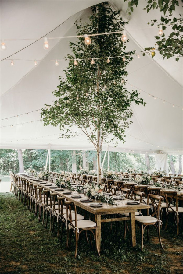 natural tree for tent wedding decorations