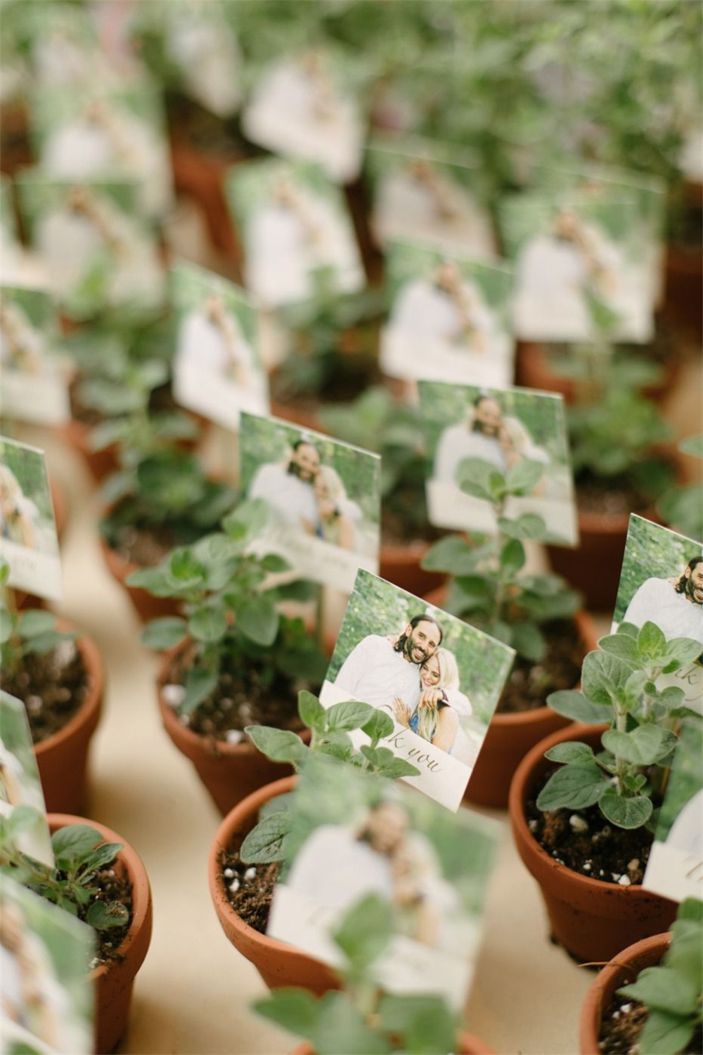 Wedding Favor Ideas with Plants